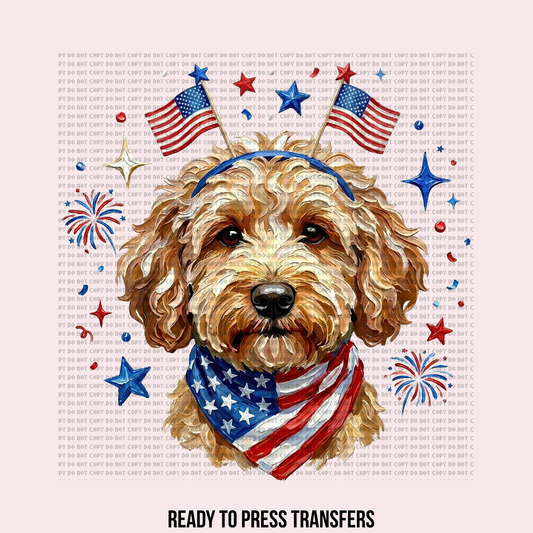 USA GOLDEN DOODLE